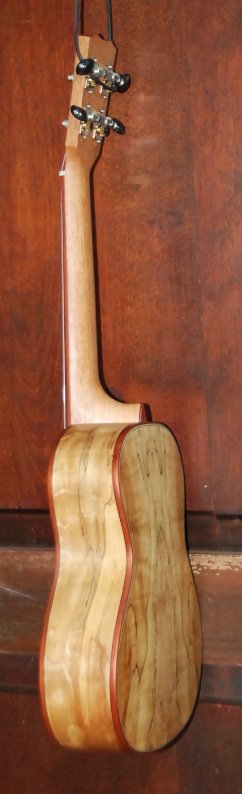 Cordoba 24C Concert Ukulele Uke Spalted Maple 472