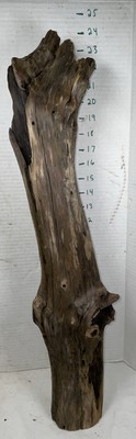 Driftwood Taxidermy Beach Lake Mountain House Wedding Reception 23  Tall