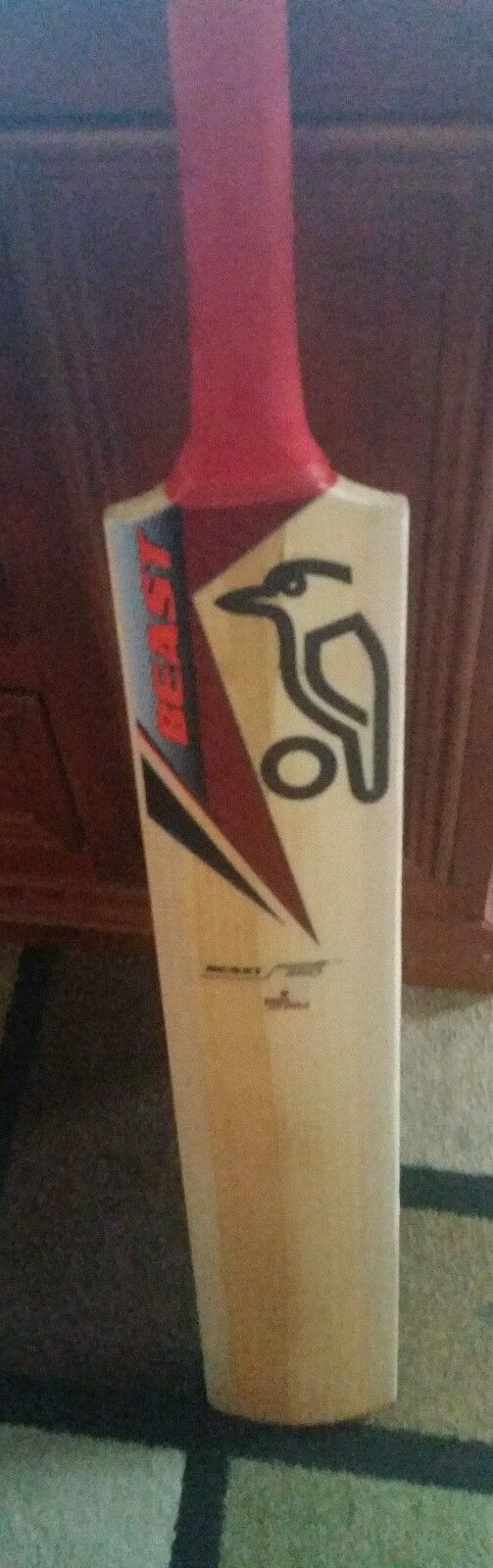 Cricket Equipment for sale Shop with Afterpay eBay