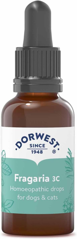 Dorwest Herbs Fragaria 3C Homoeopathic Liquid Remedy for Dogs & Cats - 15Ml