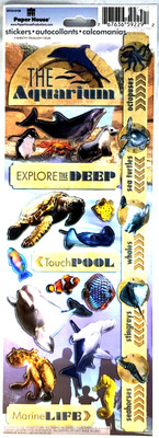 Aquarium Marine Life Touch Pool Dolphin  Paper House Cardstock Stickers 12''