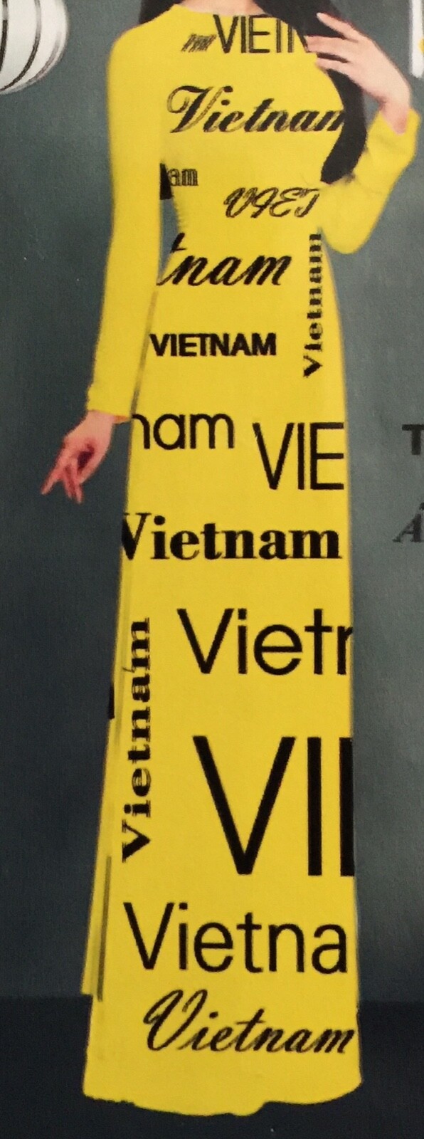 Áo dài Việt Nam size S | eBay