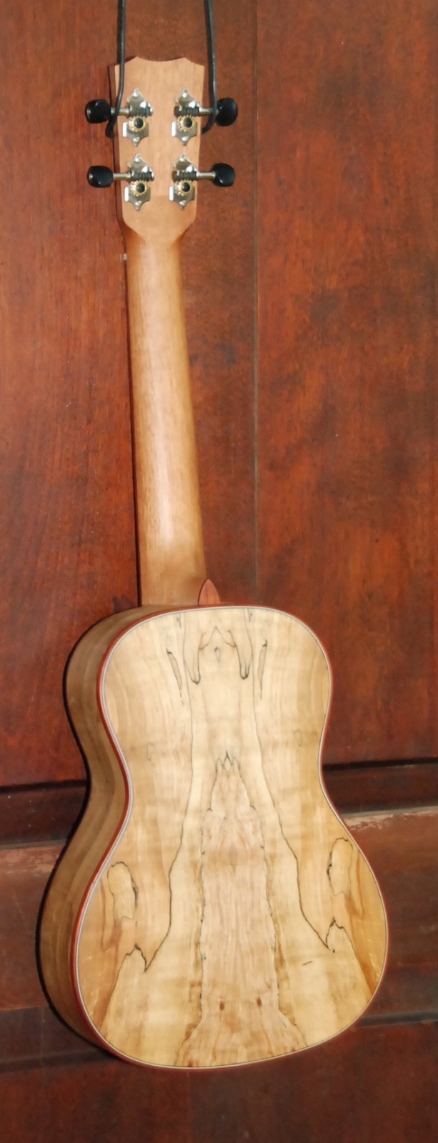 Cordoba 24C Concert Ukulele Uke Spalted Maple 472