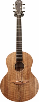 Acoustic Guitar W Lr Baggs