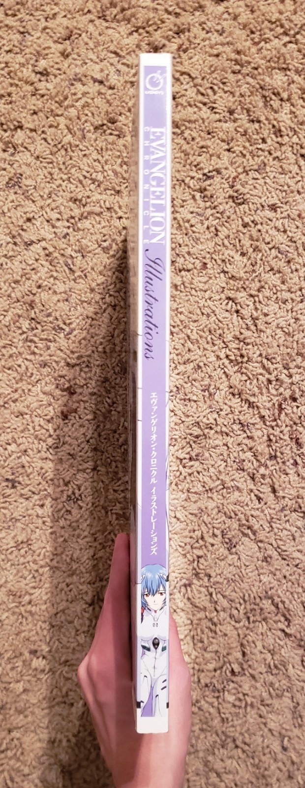 Evangelion Chronicles Illustrations anime art book English edition