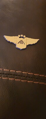 American  Trans  Air  wings 