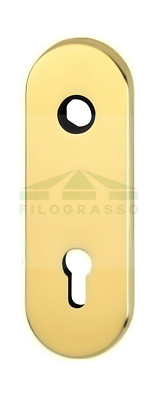 PLACCA LUNGA PER CILINDRO EUROPEO VARIE FINITURE CISA MOTTURA DIERRE SECUREMME