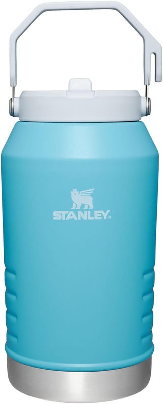 Iceflow Stainless Steel Tumbler with Straw, Vacuum Insulated Water Bottle for Ho