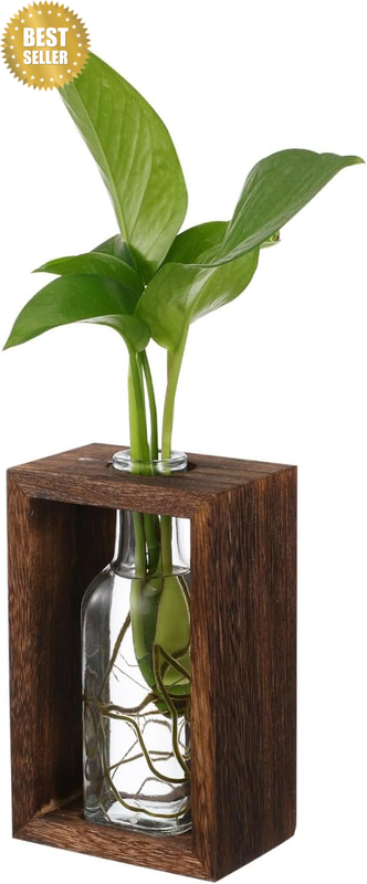 Plant Propagation Station Transparent Glass Bottle with Frame Hydroponic Vase fo