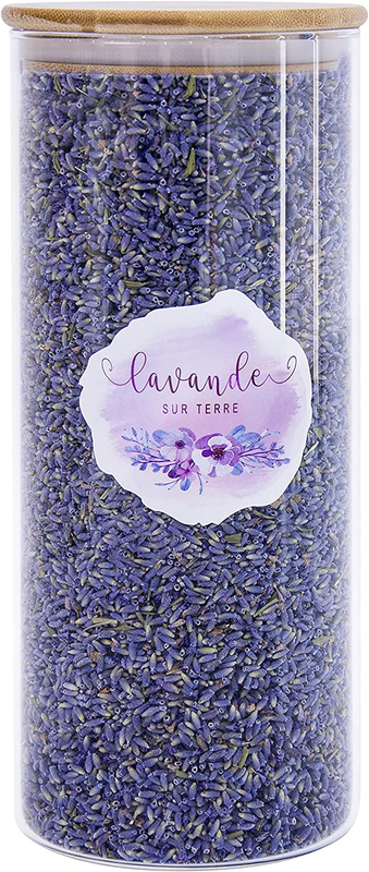 8 Cups Lavender in Large Glass Bottle, Highland Dried Lavender Flower Buds, LV-H