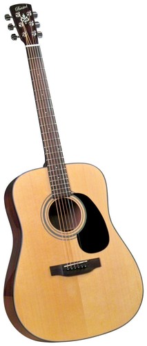 Bunny BJ-55 J-45/50model バーニー Acoustic Guitar Burny BJ-55 J-45