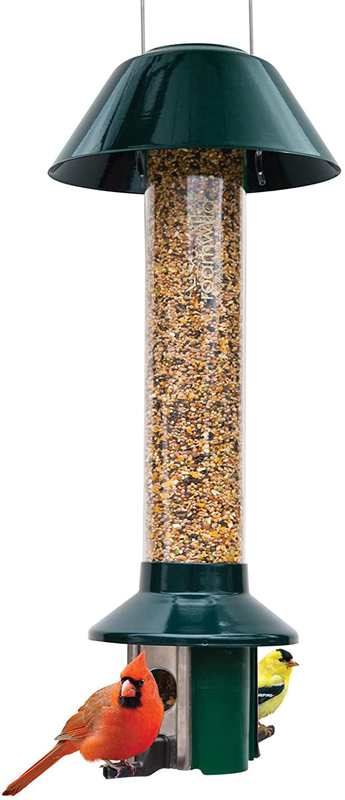 Mixed Seed Sunflower Heart V...
