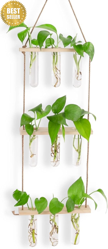 3 Tier Wall Hanging Propagation Station, Glass Plant Terrarium