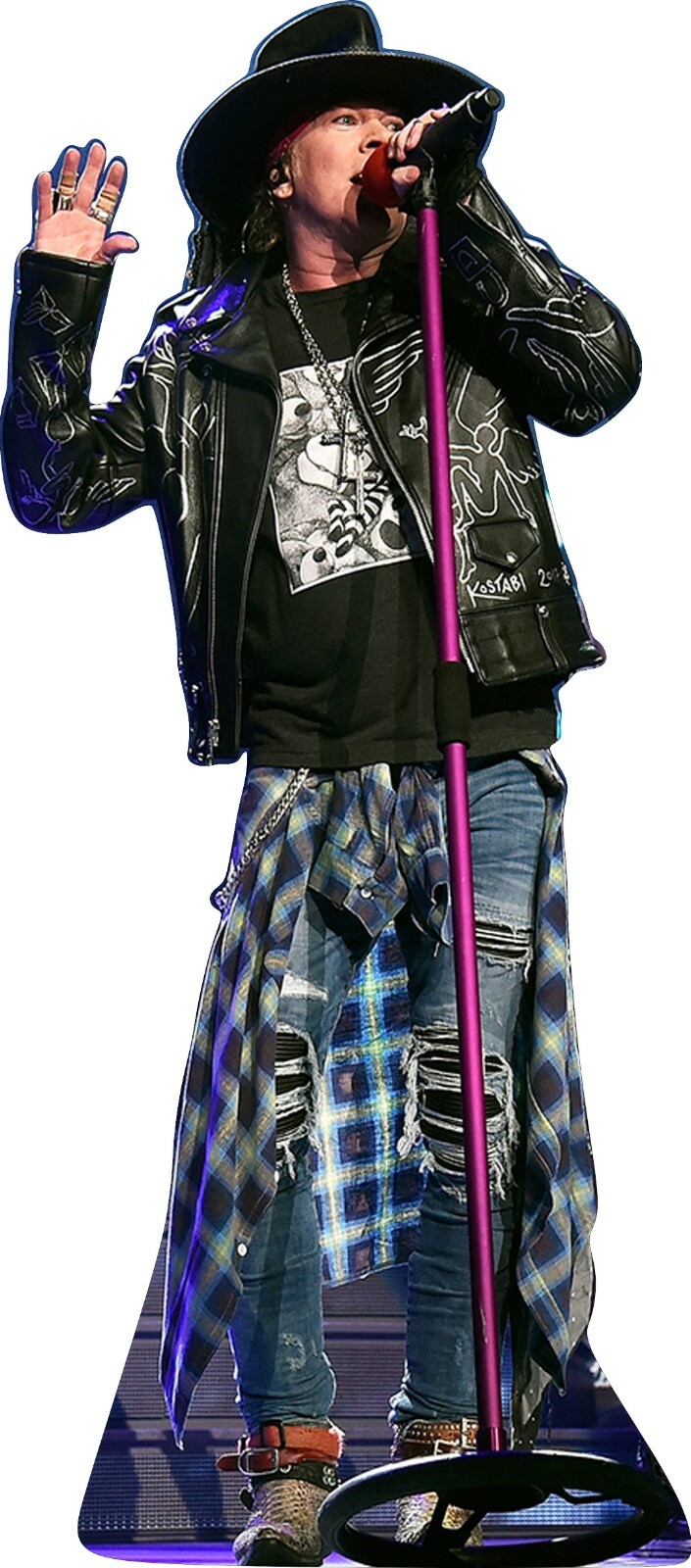 GUNS N' ROSES フレーム入り写真 495枚限定 Axl Rose NEW GUNS N