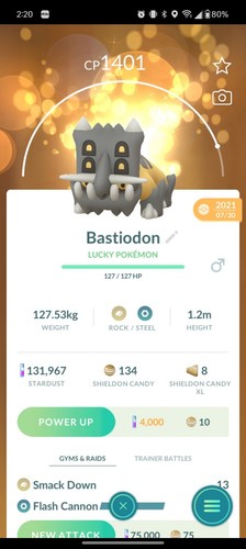 Foto dell'oggetto di un acquirente verificato