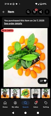 Artikelfoto(s) von einem verifizierten Käufer