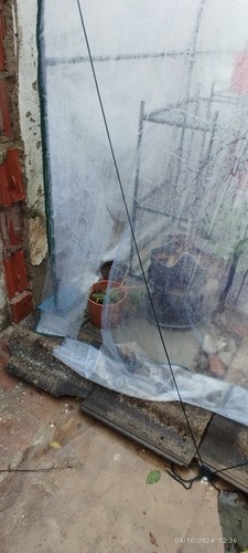 Foto dell'oggetto di un acquirente verificato