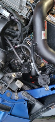 Fotos del artículo de un comprador verificado