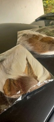 Artikelfoto(s) von einem verifizierten Käufer