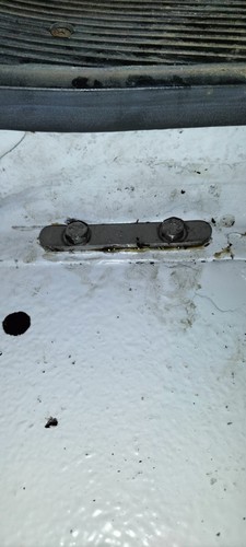 Fotos del artículo de un comprador verificado