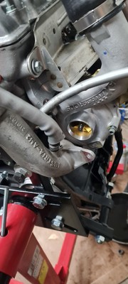 Artikelfoto(s) von einem verifizierten Käufer