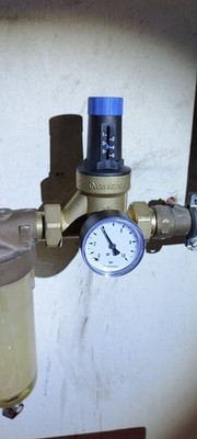 Fotos del artículo de un comprador verificado