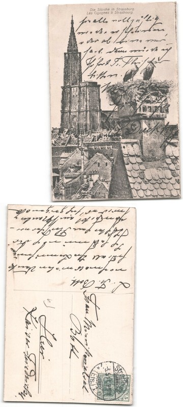 (A6146951)   Ansichtskarte Storch Strassburg Nachlass Alida Fleischer Wohnh