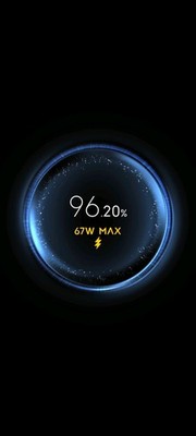 Photos de l'objet d'un acheteur vérifié