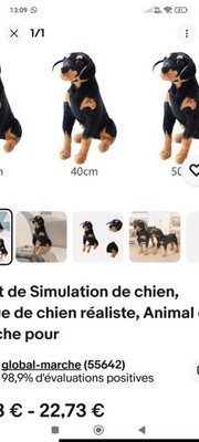 Artikelfoto(s) von einem verifizierten Käufer