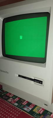 Artikelfoto(s) von einem verifizierten Käufer