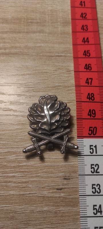 Feuilles De ChÃªNe + Ã©PÃ©Es Argent Pour Croix De Fer Chevalier