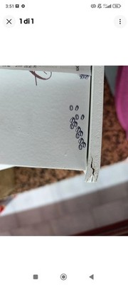 Foto dell'oggetto di un acquirente verificato
