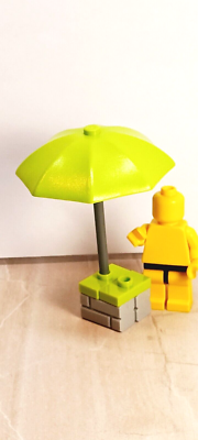 Outdoor lego best sale bricks