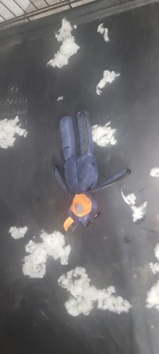 Objectfoto('s) van geverifieerde koper