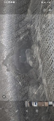 Fotos del artículo de un comprador verificado