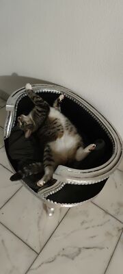 Zdjęcia przedmiotu od zweryfikowanego kupującego