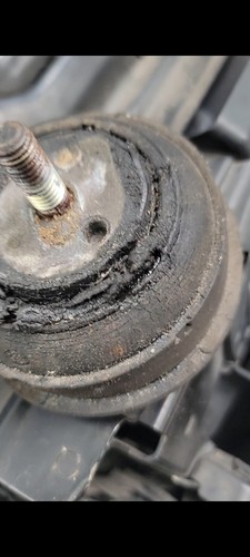 Fotos del artículo de un comprador verificado