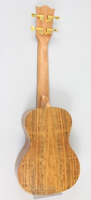 Amahi Snail Series Concert Ukulele Walnut