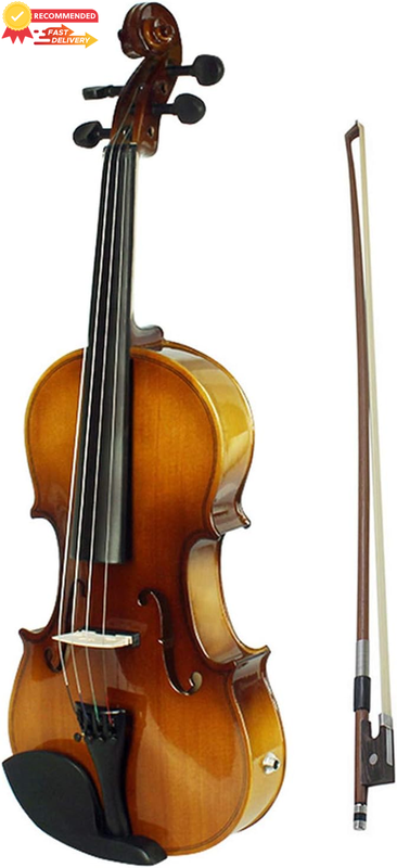 4/4 Full Size Acoustic Electric Violin Kit Solid Wood w/ Bow Hard Case Strings