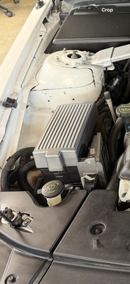 Fotos del artículo de un comprador verificado