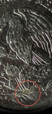 Artikelfoto(s) von einem verifizierten Käufer