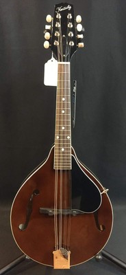 Framus Mandolin Serial Numbers