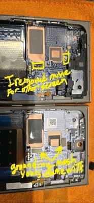 Photos de l'objet d'un acheteur vérifié