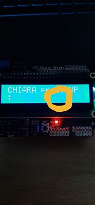Foto dell'oggetto di un acquirente verificato