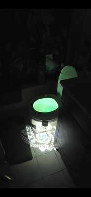 Photos de l'objet d'un acheteur vérifié