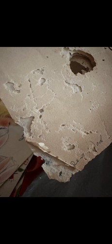 Artikelfoto(s) von einem verifizierten Käufer