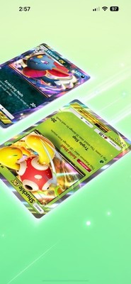 Photos de l'objet d'un acheteur vérifié