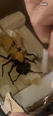 Foto dell'oggetto di un acquirente verificato