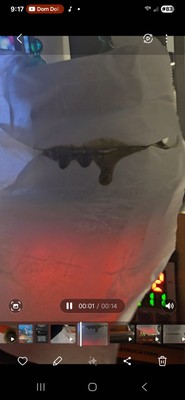 Photos de l'objet d'un acheteur vérifié