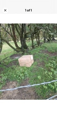 Foto dell'oggetto di un acquirente verificato